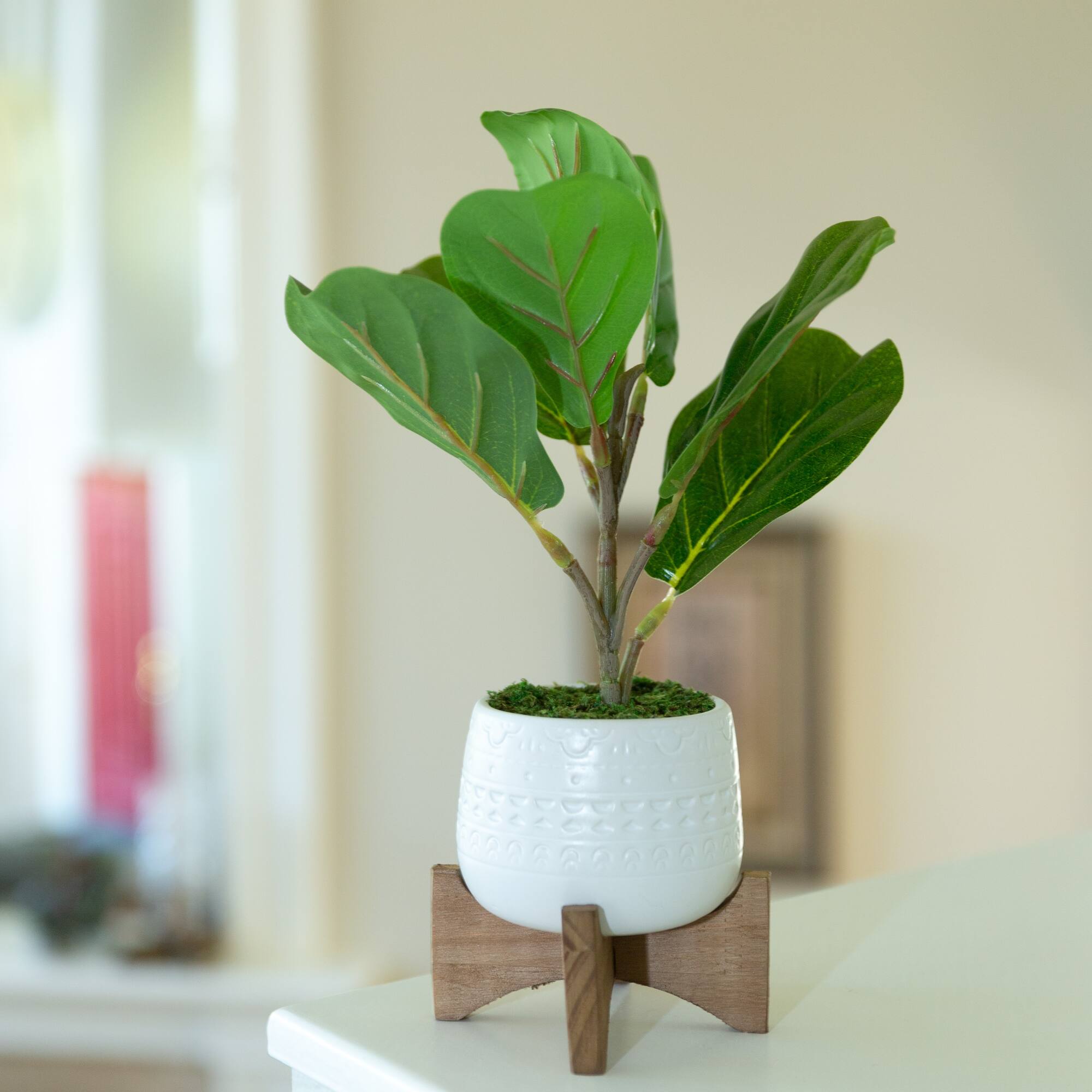 Flora Bunda® 12" Fiddle In 3.5" Mayan Ceramic Pot On Stand